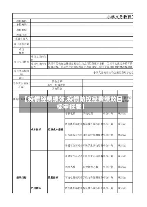 【疫情经费绩效,疫情防控经费绩效目标申报表】-第3张图片
