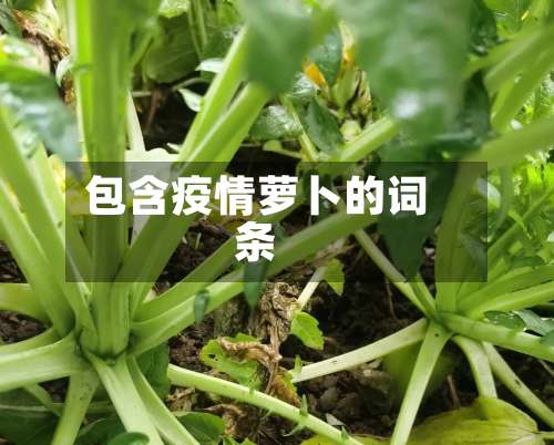 包含疫情萝卜的词条