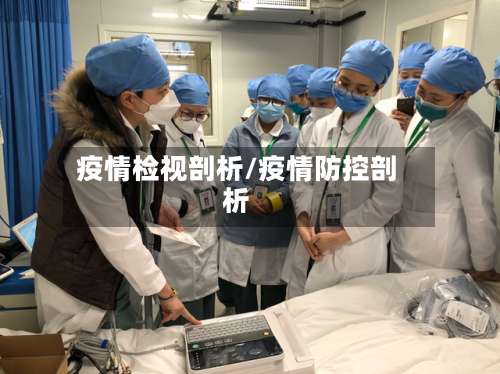 疫情检视剖析/疫情防控剖析-第3张图片