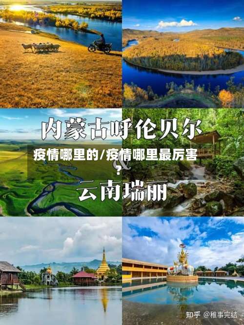 疫情哪里的/疫情哪里最厉害?