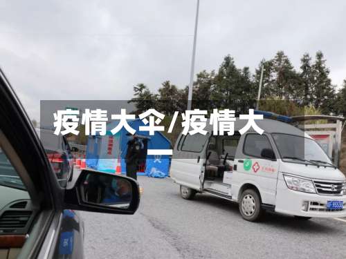 疫情大伞/疫情大一