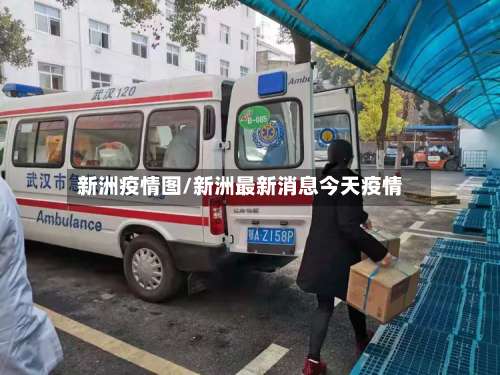 新洲疫情图/新洲最新消息今天疫情-第2张图片