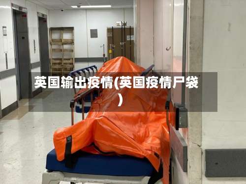 英国输出疫情(英国疫情尸袋)-第2张图片
