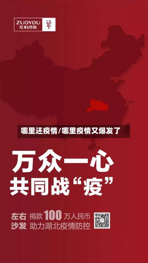 哪里还疫情/哪里疫情又爆发了-第3张图片