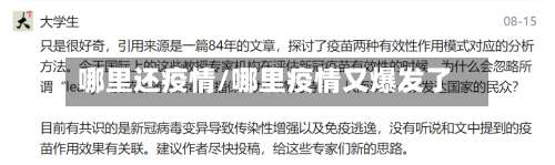 哪里还疫情/哪里疫情又爆发了-第2张图片