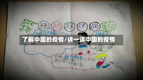了解中国的疫情/讲一讲中国的疫情