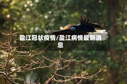 盈江冠状疫情/盈江病情最新消息-第2张图片