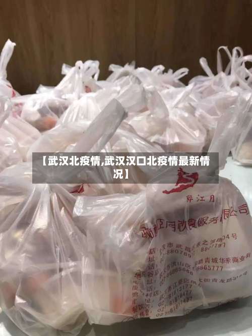 【武汉北疫情,武汉汉口北疫情最新情况】