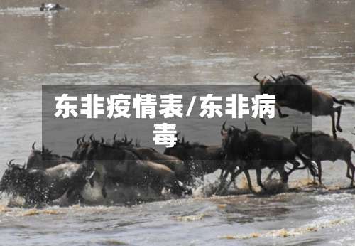 东非疫情表/东非病毒-第3张图片