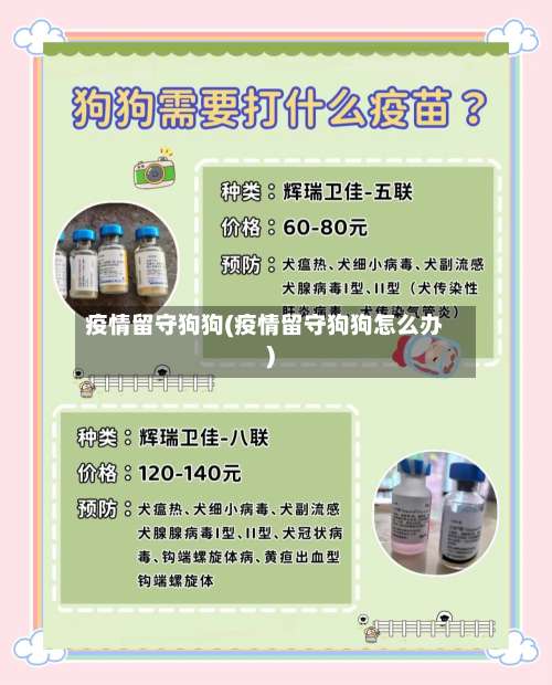 疫情留守狗狗(疫情留守狗狗怎么办)-第2张图片