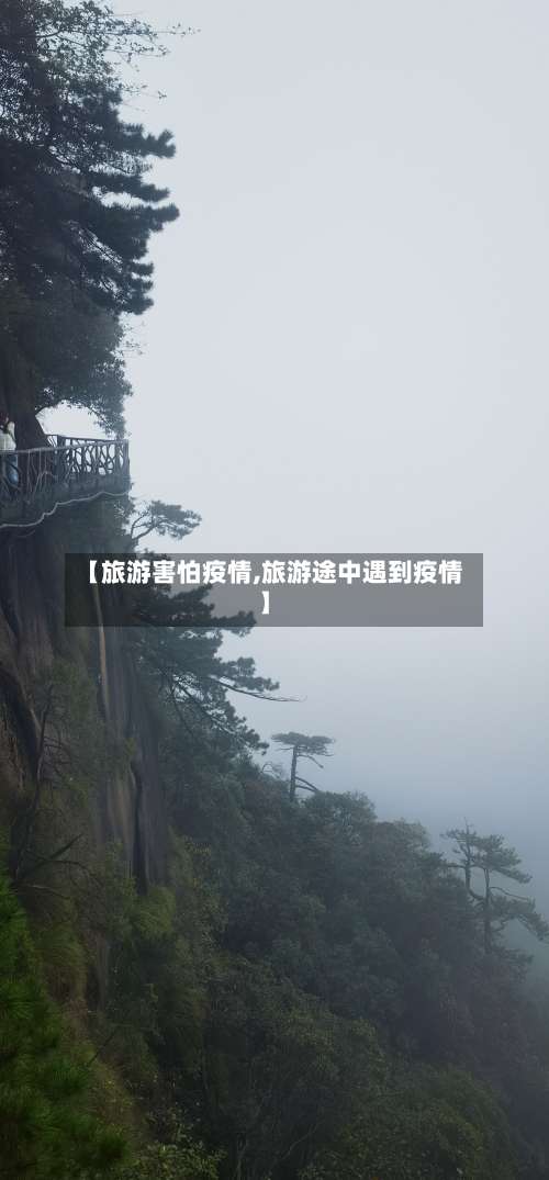 【旅游害怕疫情,旅游途中遇到疫情】