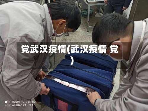 党武汉疫情(武汉疫情 党)