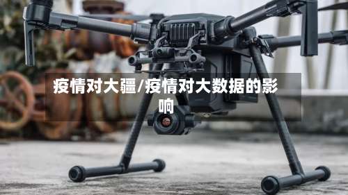 疫情对大疆/疫情对大数据的影响