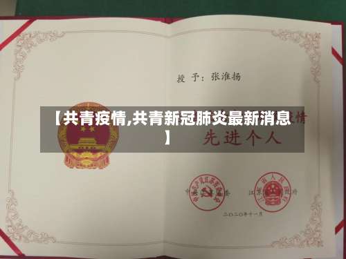 【共青疫情,共青新冠肺炎最新消息】-第2张图片