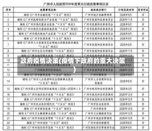 政府疫情决策(疫情下政府的重大决策)-第2张图片