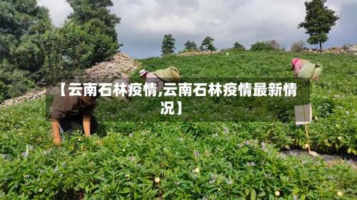 【云南石林疫情,云南石林疫情最新情况】