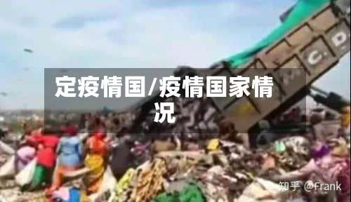 定疫情国/疫情国家情况