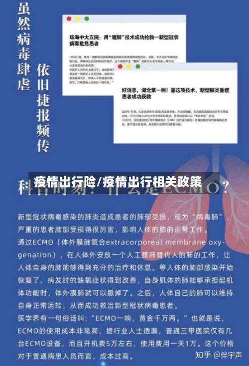 疫情出行险/疫情出行相关政策