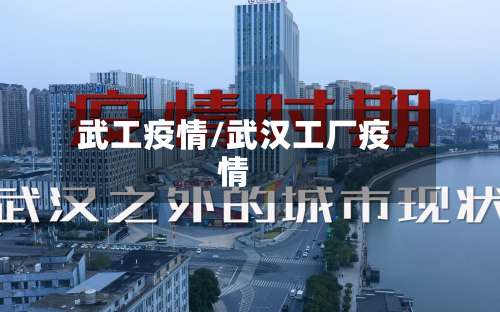 武工疫情/武汉工厂疫情-第2张图片