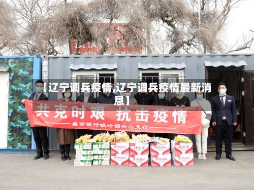 【辽宁调兵疫情,辽宁调兵疫情最新消息】-第2张图片