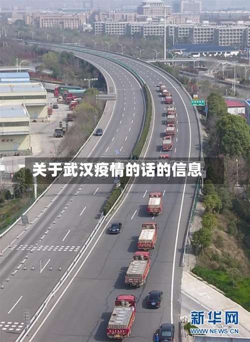 关于武汉疫情的话的信息