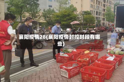 襄阳疫情28(襄阳疫情封控时段有哪些)-第3张图片