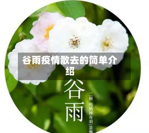 谷雨疫情散去的简单介绍-第3张图片