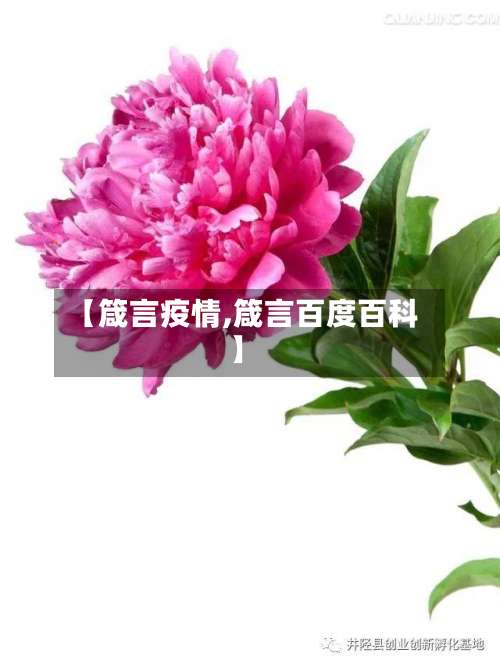 【箴言疫情,箴言百度百科】-第3张图片