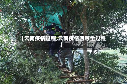 【云南疫情过程,云南疫情回顾全过程】-第2张图片