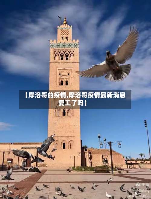 【摩洛哥的疫情,摩洛哥疫情最新消息复工了吗】