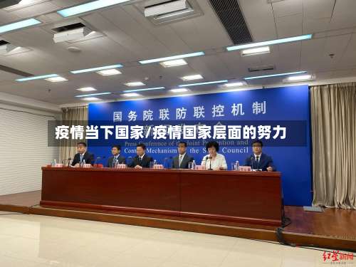 疫情当下国家/疫情国家层面的努力-第3张图片