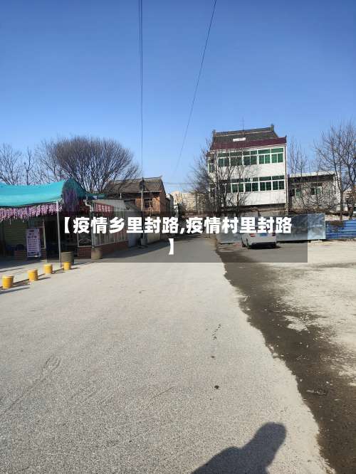 【疫情乡里封路,疫情村里封路】-第2张图片