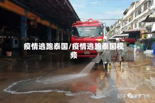 疫情逃跑泰国/疫情逃跑泰国视频