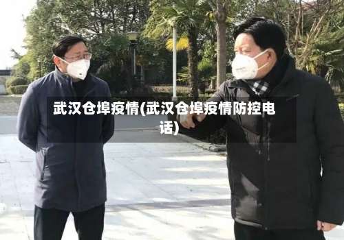 武汉仓埠疫情(武汉仓埠疫情防控电话)-第2张图片