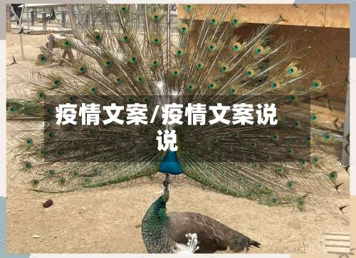 疫情文案/疫情文案说说