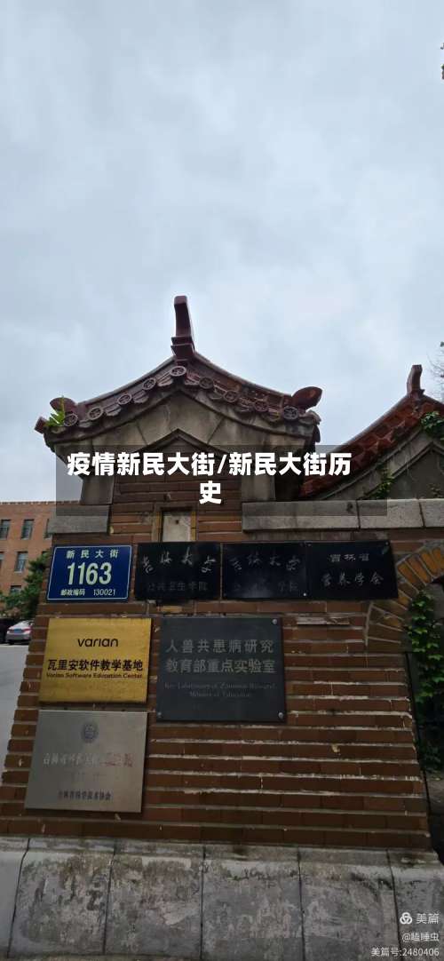 疫情新民大街/新民大街历史