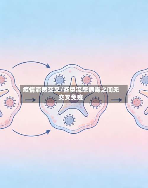 疫情流感交叉/各型流感病毒之间无交叉免疫