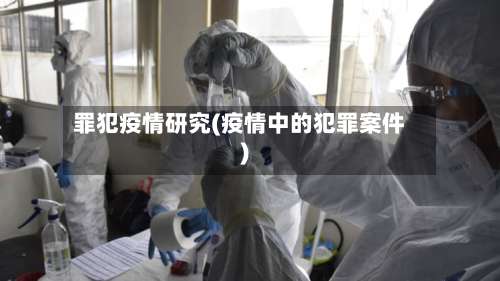 罪犯疫情研究(疫情中的犯罪案件)-第3张图片
