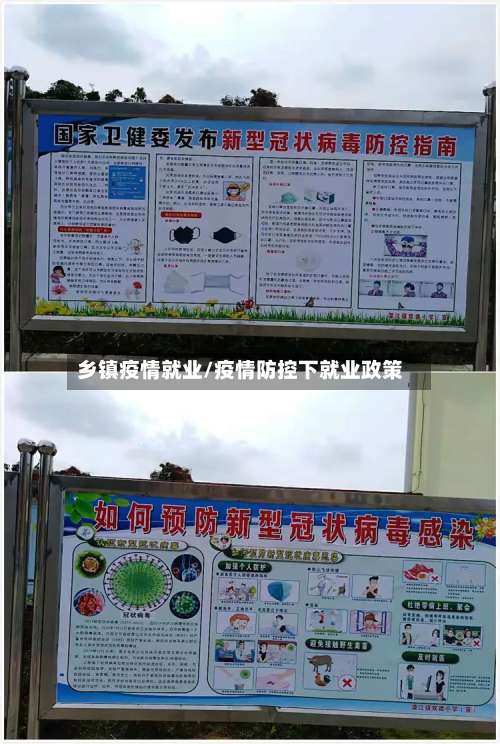 乡镇疫情就业/疫情防控下就业政策
