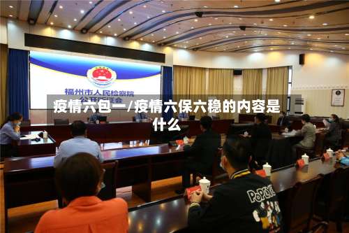 疫情六包一/疫情六保六稳的内容是什么