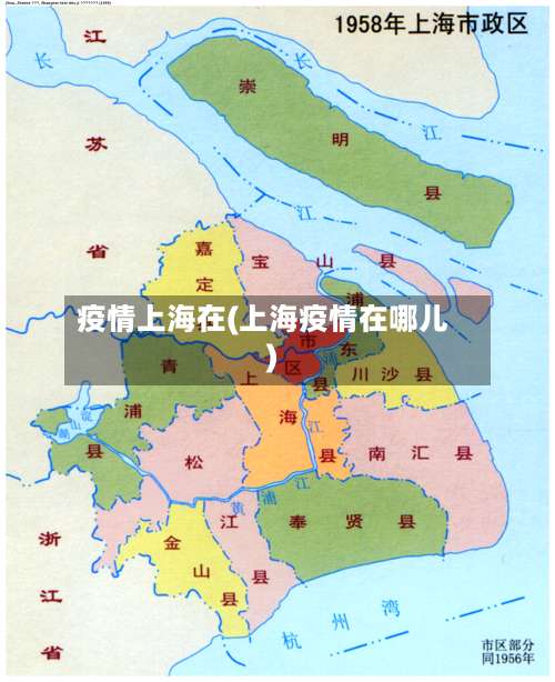 疫情上海在(上海疫情在哪儿)-第3张图片