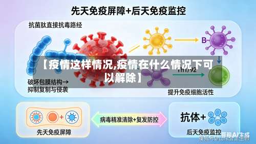 【疫情这样情况,疫情在什么情况下可以解除】