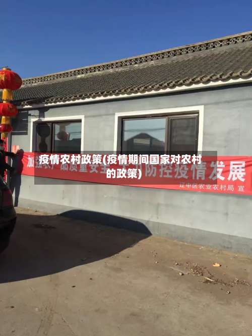 疫情农村政策(疫情期间国家对农村的政策)-第3张图片