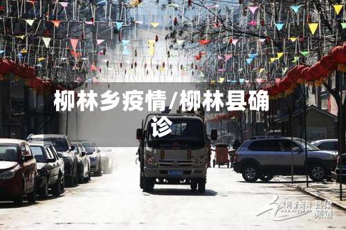 柳林乡疫情/柳林县确诊