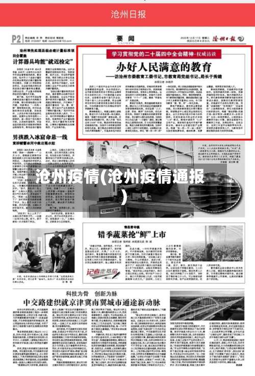沧州疫情(沧州疫情通报)-第3张图片