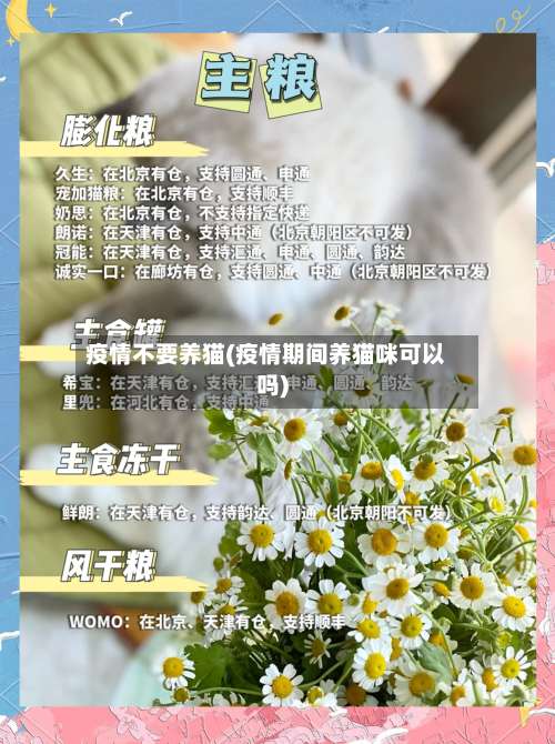 疫情不要养猫(疫情期间养猫咪可以吗)-第2张图片