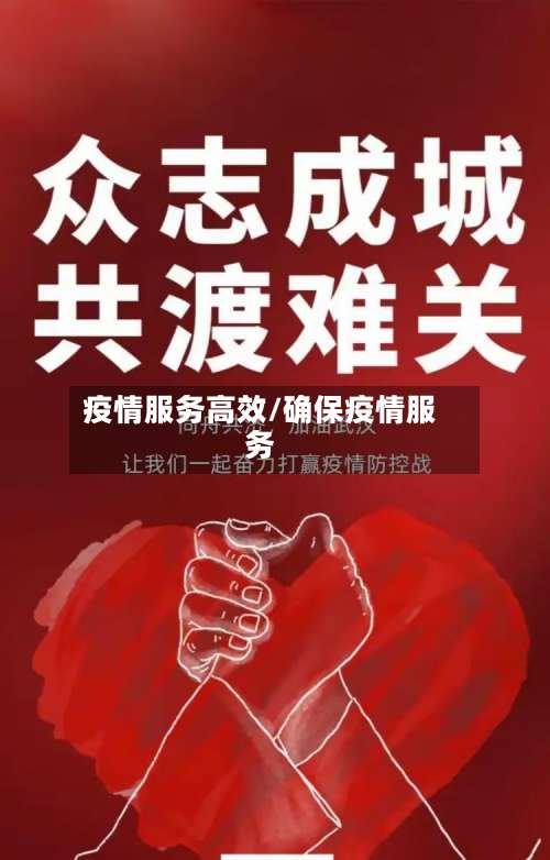 疫情服务高效/确保疫情服务-第2张图片