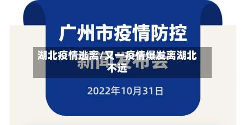 湖北疫情逃离/又一疫情爆发离湖北不远-第2张图片