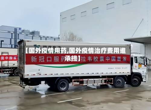 【国外疫情用药,国外疫情治疗费用谁承担】-第3张图片