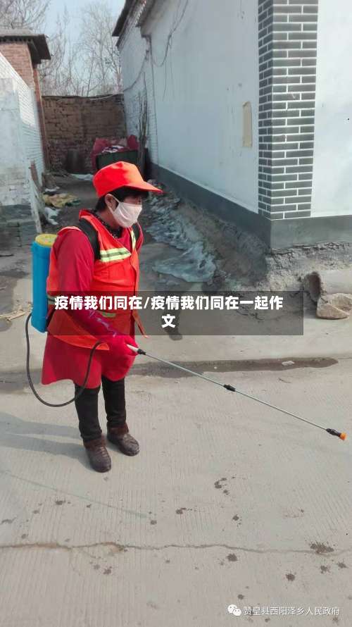 疫情我们同在/疫情我们同在一起作文